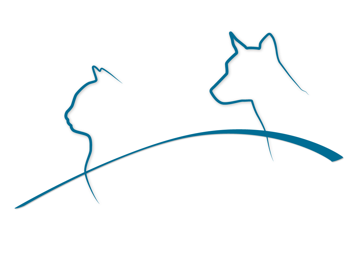 companionanimalpractice.com.au